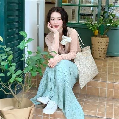 多瑙河行动