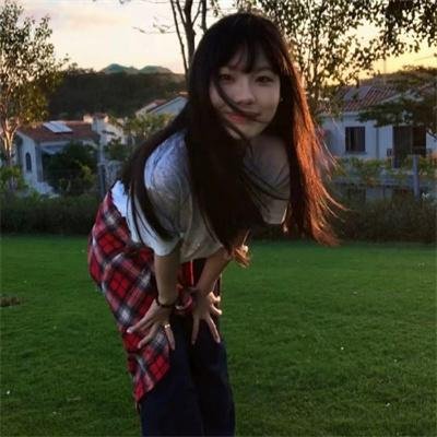 豹